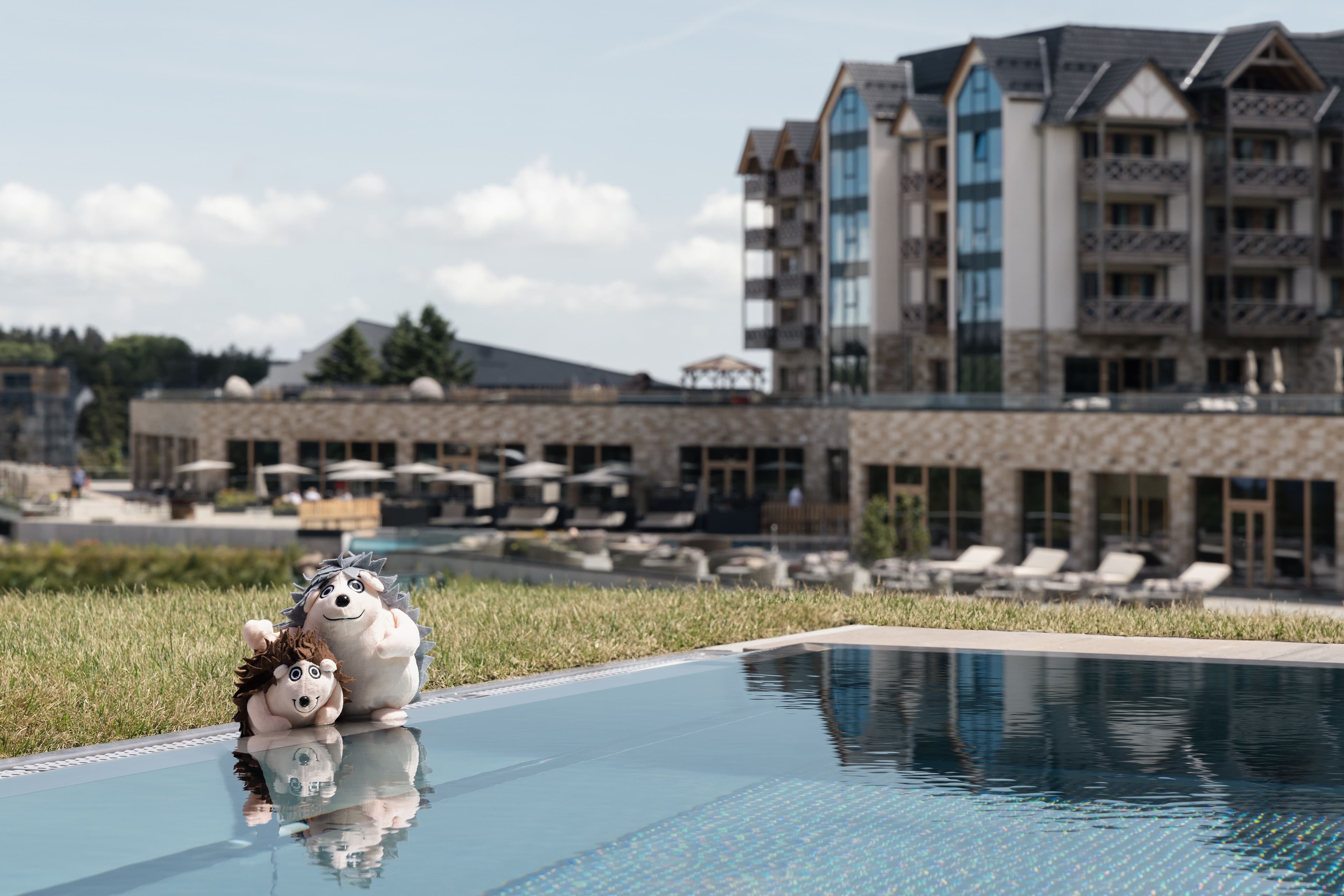 Familux Chalet Pool.jpg